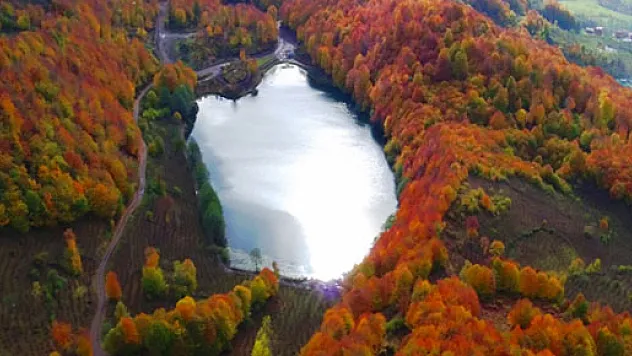 Ordu'nun kısa filmine büyük ilgi