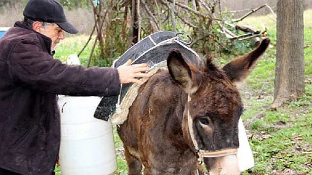 Evine eşekle su taşıyor