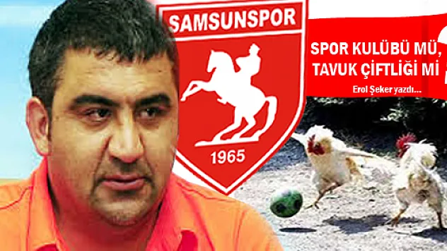 Samsunspor Spor Kulübü mü, Tavuk çiftliği mi?
