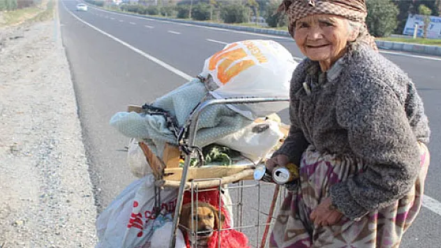 77'lik ninenin hayvan sevgisi