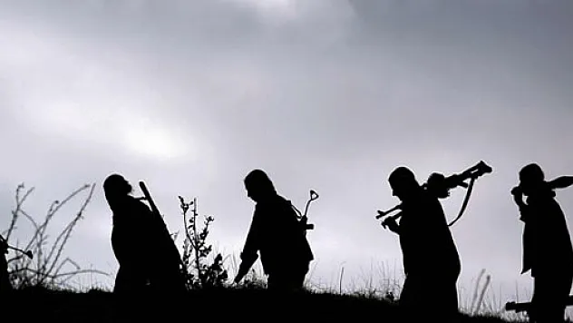 Siirt'te terör örgütü PKK'ya darbe