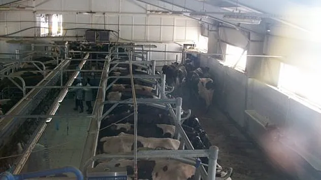 Gümüşhane Kelkit Gezisi