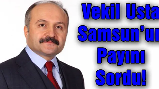 Vekil Usta Samsun'un Payını Sordu!