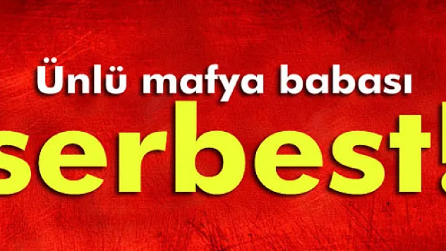 Ünlü mafya babası Sedat Şahin serbest!