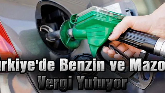 Türkiye'de Benzin ve Mazotu Vergi Yutuyor
