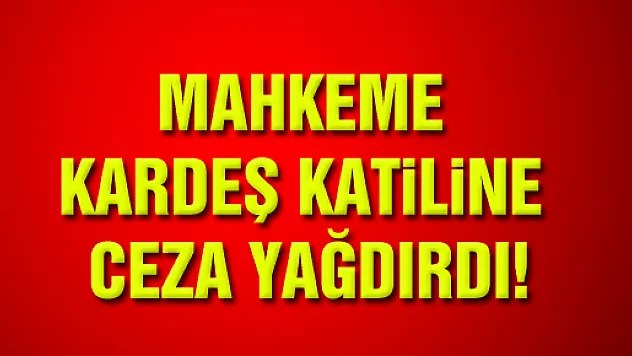MAHKEME KARDEŞ KATİLİNE CEZA YAĞDIRDI