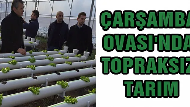 ÇARŞAMBA OVASI'NDA TOPRAKSIZ TARIM