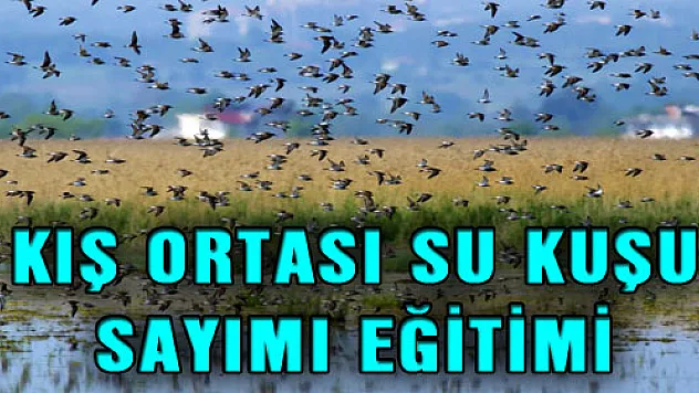 KIŞ ORTASI SU KUŞU SAYIMI EĞİTİMİ