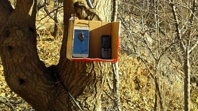 Ağaca asılan kutudan iletişim