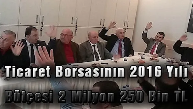 Ticaret Borsasının 2016 Yılı Bütçesi 2 Milyon 250 Bin TL