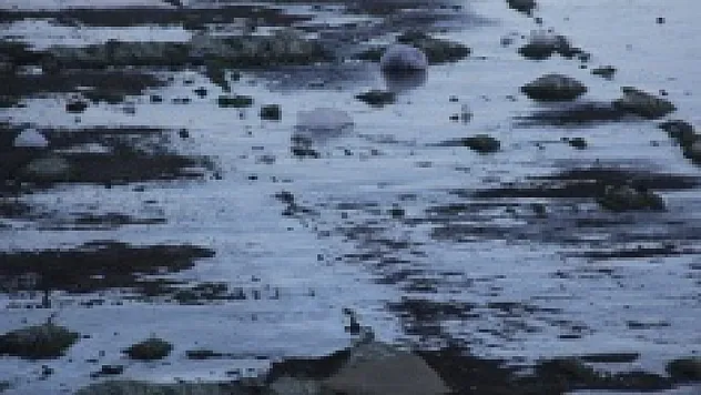 Türkiye'nin en sıcak şehrini buz tuttu