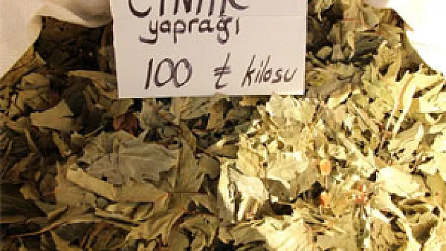 Çınar Yaprağı Ihlamuru Geçti