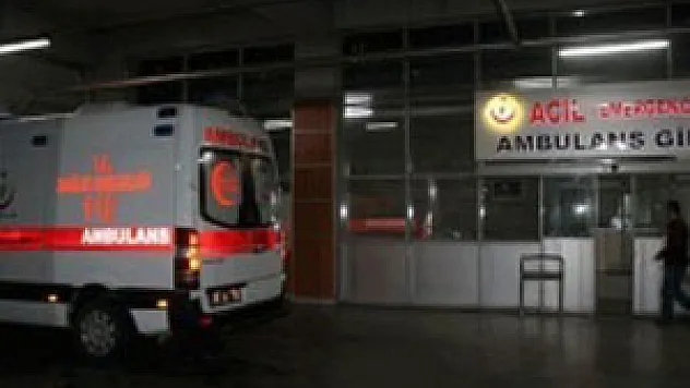 Niğde'de 'domuz gribi' şüphesi: 2 ölü