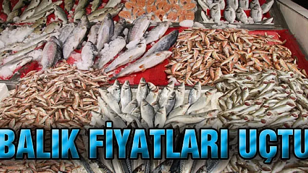 BALIK FİYATLARI UÇTU