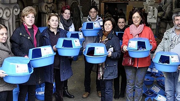 Çamaşır leğenleri kedilere yuva oldu