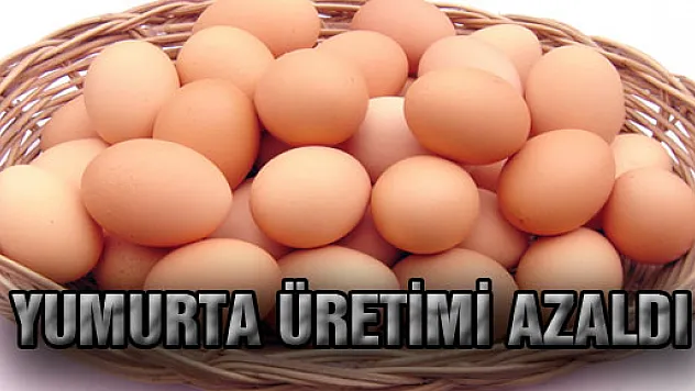 YUMURTA ÜRETİMİ AZALDI