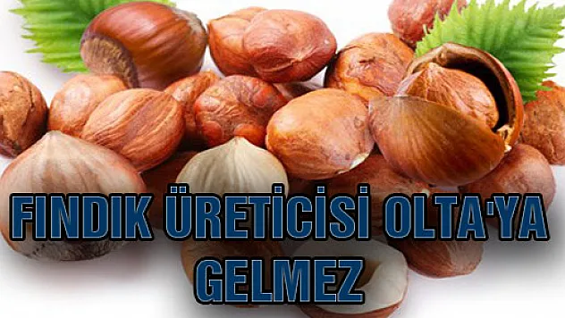 'FINDIK ÜRETİCİSİ OLTA'YA GELMEZ'