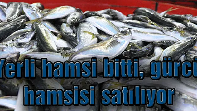 Yerli hamsi bitti, gürcü hamsisi satılıyor