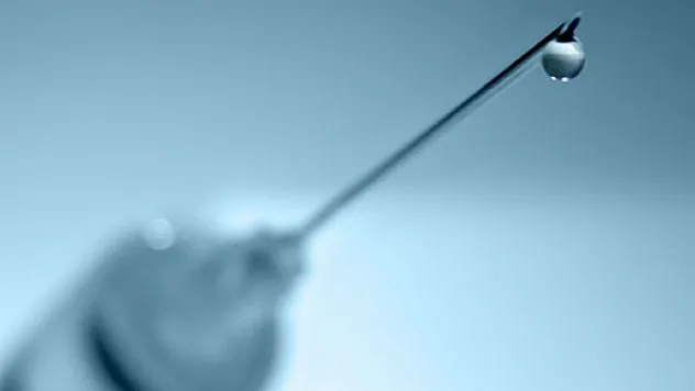 Diyarbakır'da domuz gribinden ölenlerin sayısı 3'e yükseldi