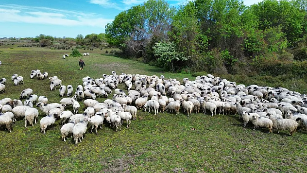 450 kilometrelik kadim yolculuk: UNESCO mirasında 'Yayla göçü' başladı