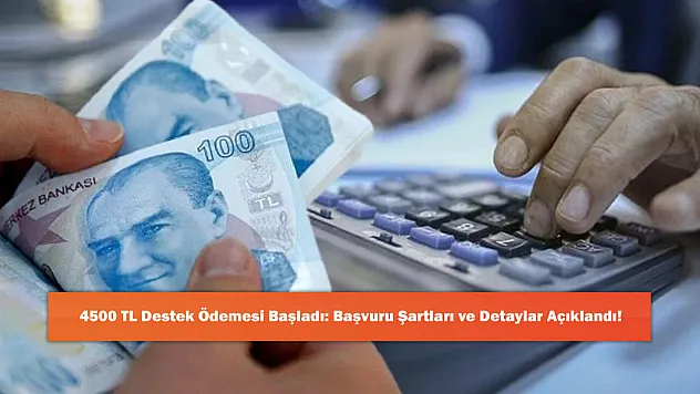 4500 TL Destek Ödemesi Başladı: Başvuru Şartları ve Detaylar Açıklandı!