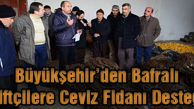 Büyükşehir'den Bafralı Çiftçilere Ceviz Fidanı Desteği
