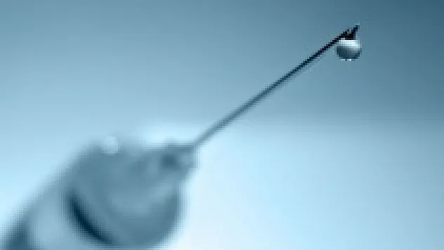 Yaşlı kadın domuz gribinden öldü