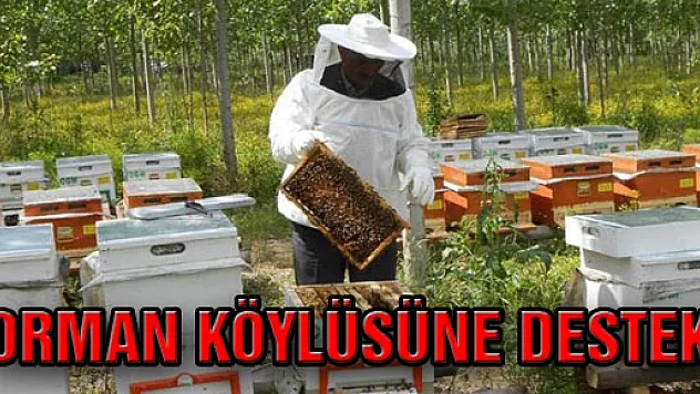 Orman Köylüsüne Destek