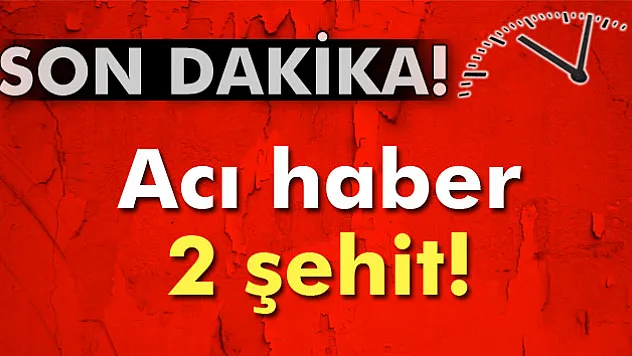 Diyarbakır'dan acı haber: 2 şehit!