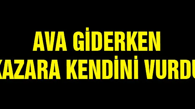 AVA GİDERKEN KAZARA KENDİNİ VURDU