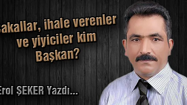 Çakallar, ihale verenler ve yiyiciler kim Başkan?
