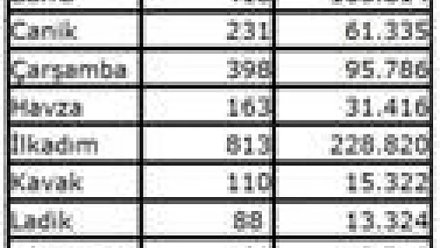 Samsun'da 880 bin seçmen oy kullanacak?