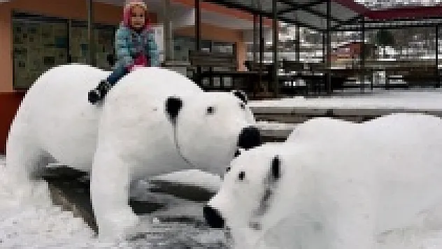 Kardan adam değil, kardan kutup ayısı