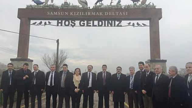 Doğaya Sülün Saldılar