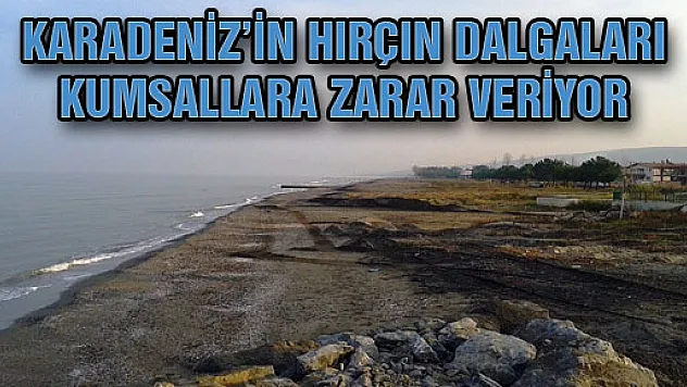 Karadeniz'in Hırçın Dalgaları Kumsallara Zarar Veriyor
