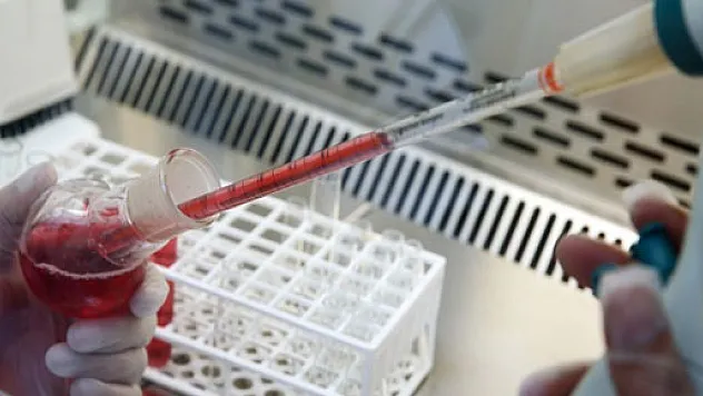 ÇÜ'de bilim insanları yapay kan üretti