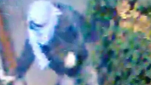 Okudukları okula bomba atmışlar