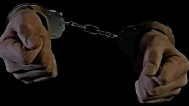 Bingöl, Hakkari ve Diyarbakır'da 20 şahıs yakalandı