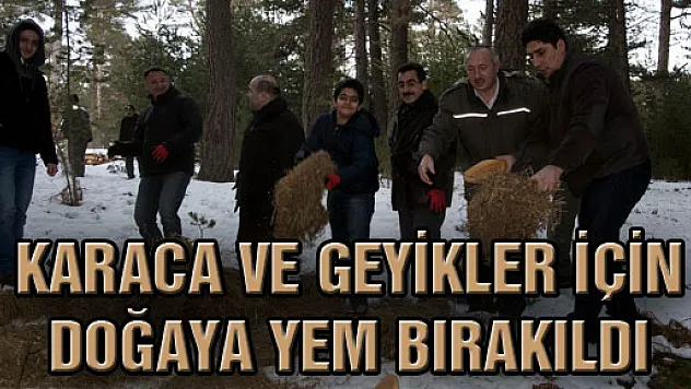 Karaca Ve Geyikler İçin Doğaya Yem Bırakıldı