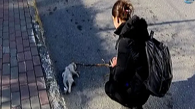 Eyüp'te 'insanlık ölmedi' dedirten görüntüler