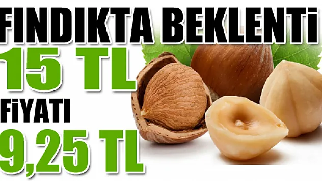 Fındıkta beklenti 15, fiyat 9.25