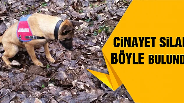 O şüphelide tutuklandı