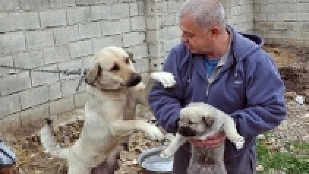 Kendini sokak hayvanlarına adayan emekli polis
