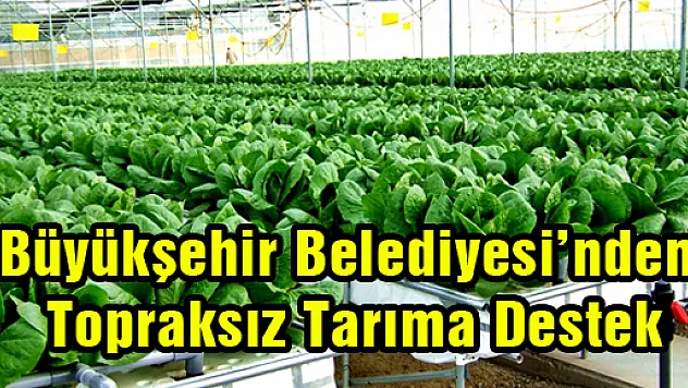 Büyükşehir Belediyesi'nden Topraksız Tarıma Destek