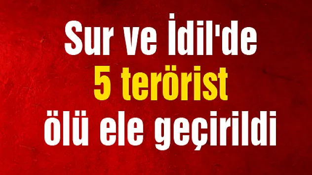 Sur ve İdil'de 5 terörist ölü ele geçirildi