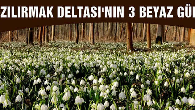 KIZILIRMAK DELTASI'NIN 3 BEYAZ GÜLÜ