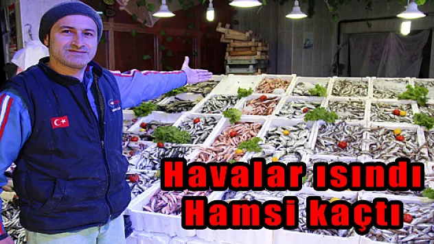 HAVALAR ISINDI HAMSİ KAÇTI