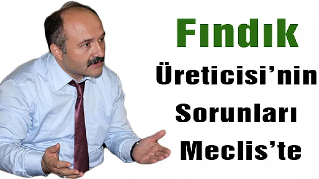 Fındık Üreticisi'nin Sorunları Meclis'te