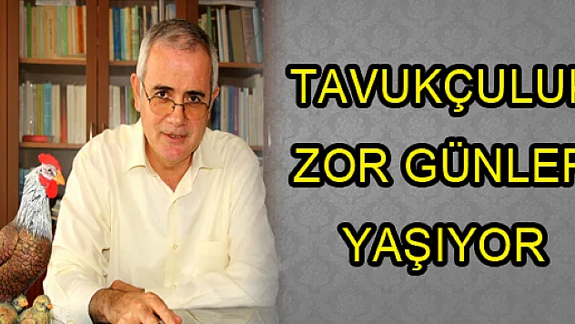 TAVUKÇULUK ZOR GÜNLER YAŞIYOR
