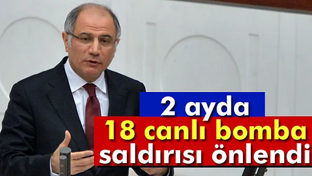 Efkan Ala: 2 ay içerisinde 18 canlı bomba saldırısını önlendi